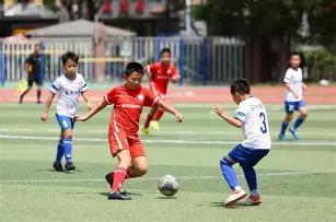 印尼足球队,伍与教练申,台龙解除合,PP电子厅下载,PP电子厅娱乐,PP电子厅官网,PP电子厅app