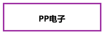PP电子
